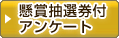 懸賞抽選券付アンケート