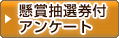 懸賞抽選券付アンケート
